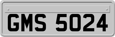 GMS5024