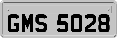 GMS5028