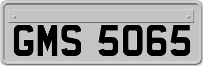 GMS5065