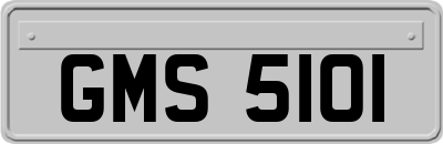 GMS5101