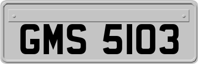 GMS5103