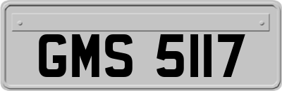 GMS5117