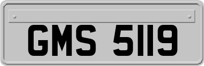GMS5119