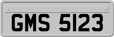 GMS5123