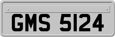 GMS5124