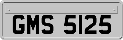 GMS5125