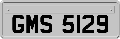 GMS5129