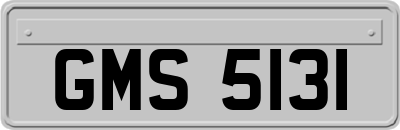 GMS5131