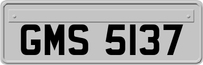 GMS5137