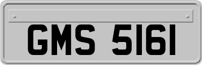 GMS5161