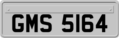 GMS5164