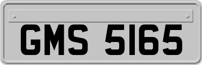 GMS5165