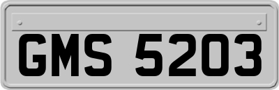 GMS5203