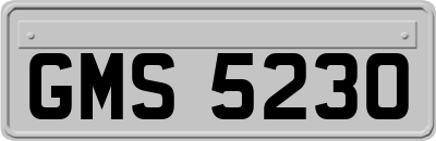 GMS5230