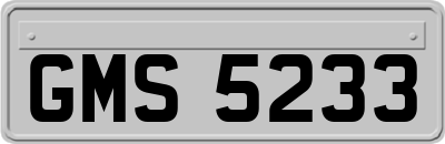 GMS5233