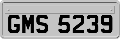 GMS5239