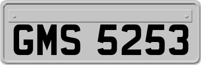 GMS5253