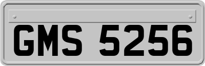 GMS5256