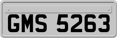 GMS5263