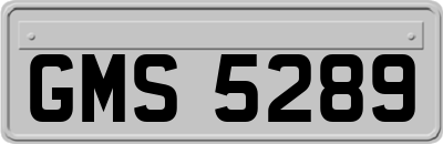 GMS5289