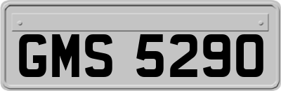 GMS5290
