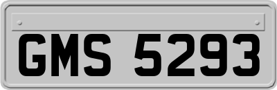 GMS5293