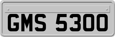 GMS5300