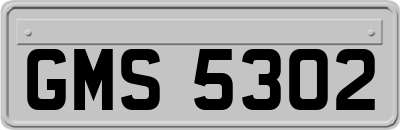 GMS5302