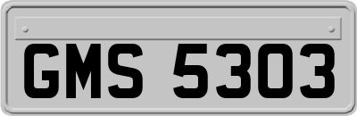 GMS5303