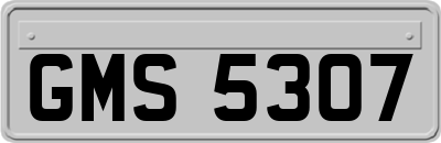 GMS5307