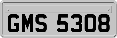 GMS5308