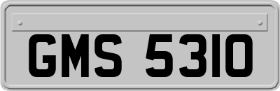 GMS5310