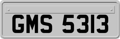 GMS5313