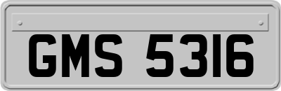 GMS5316