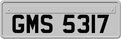 GMS5317