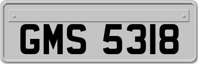 GMS5318