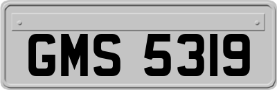 GMS5319