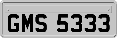 GMS5333