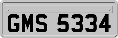 GMS5334