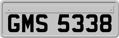 GMS5338
