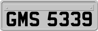 GMS5339