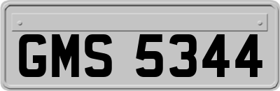 GMS5344