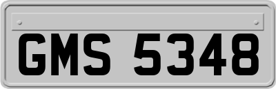GMS5348