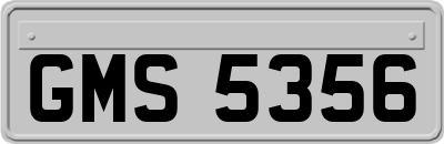 GMS5356