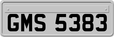 GMS5383