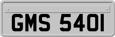 GMS5401
