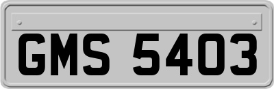 GMS5403