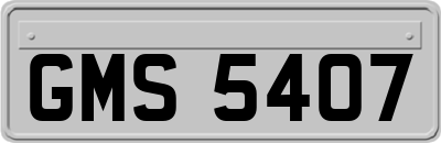 GMS5407