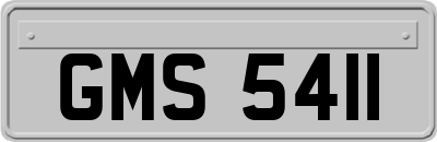 GMS5411