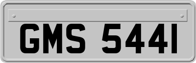 GMS5441